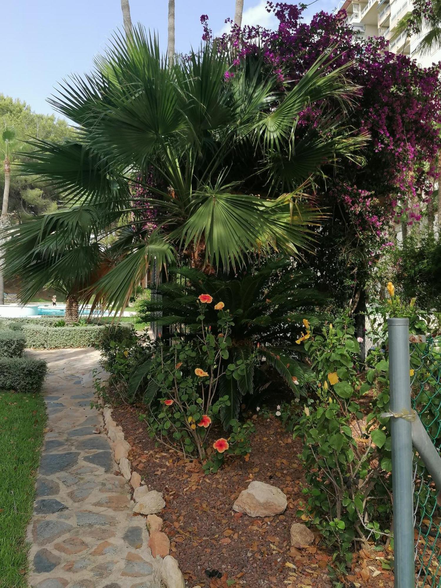Campoamor Seaview Exterior foto